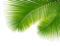 Best Tour & Travel Company in West Bengal | Rainbow Kayaks