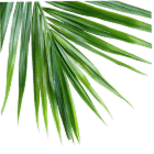 Best Tour & Travel Company in West Bengal | Rainbow Kayaks